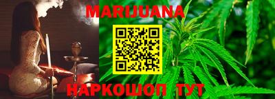 индика Бердск