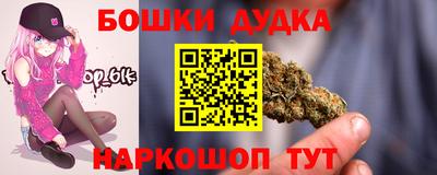 индика Бердск