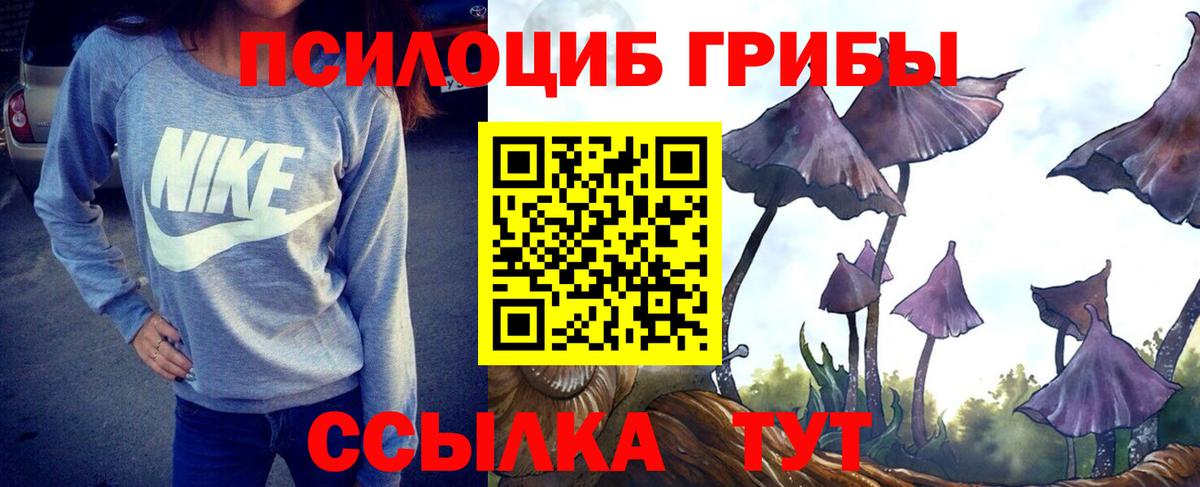Астрахань  Галлюциногенные грибы Psilocybine cubensis  Псилоцибиновые грибы Psilocybe  Вход с VPN 